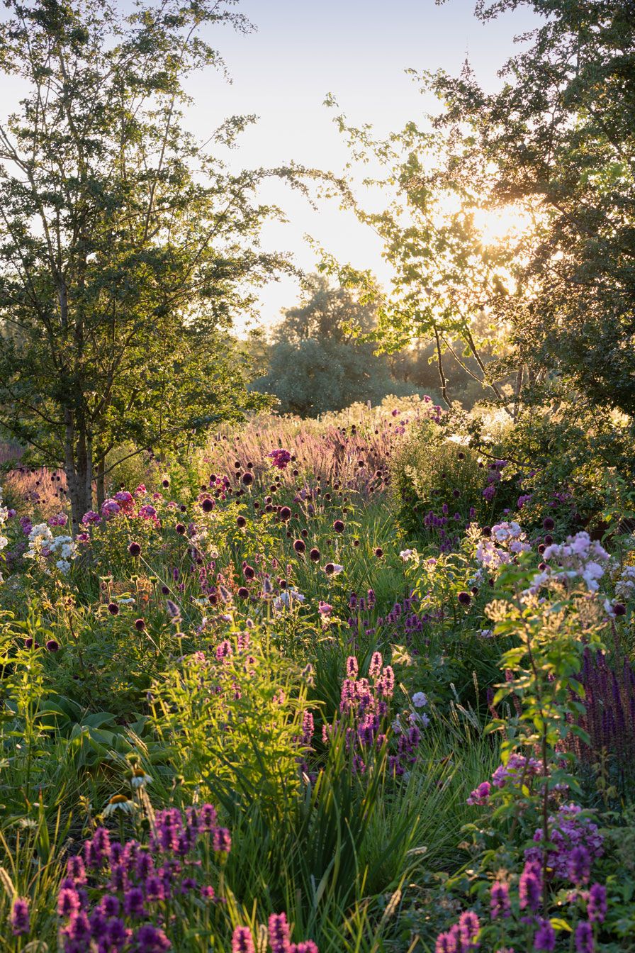 Natural Beauty: Embracing Nature with
Country Gardens