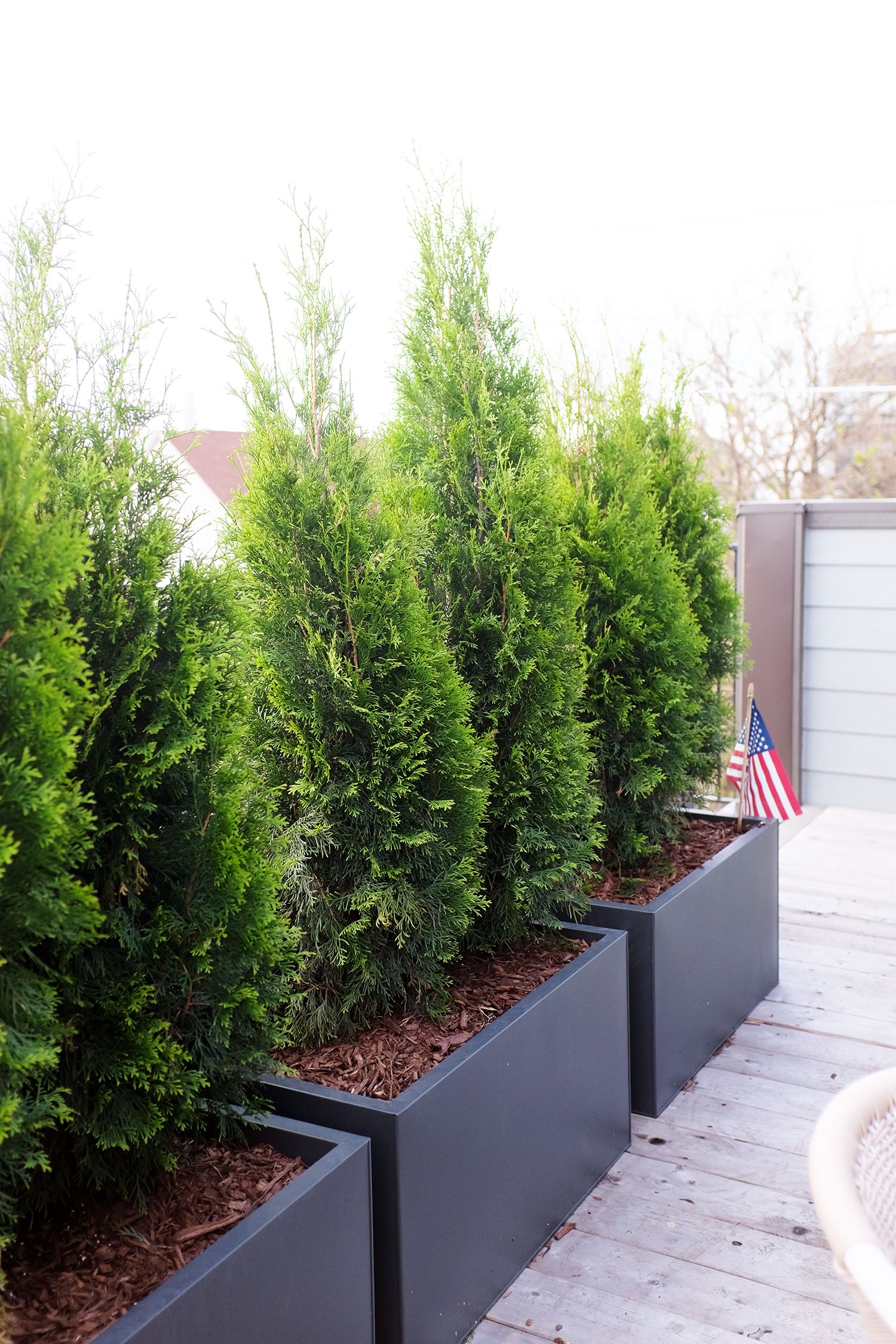 Make the Deck Planters be the
Perfect Blend with your Deck