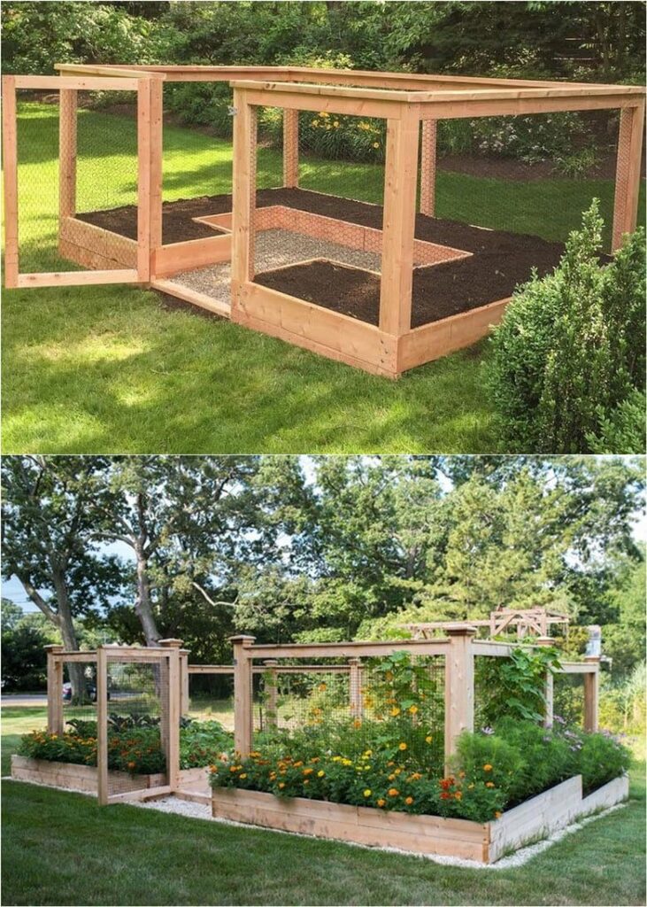 1699736756_diy-garden-ideas.jpg