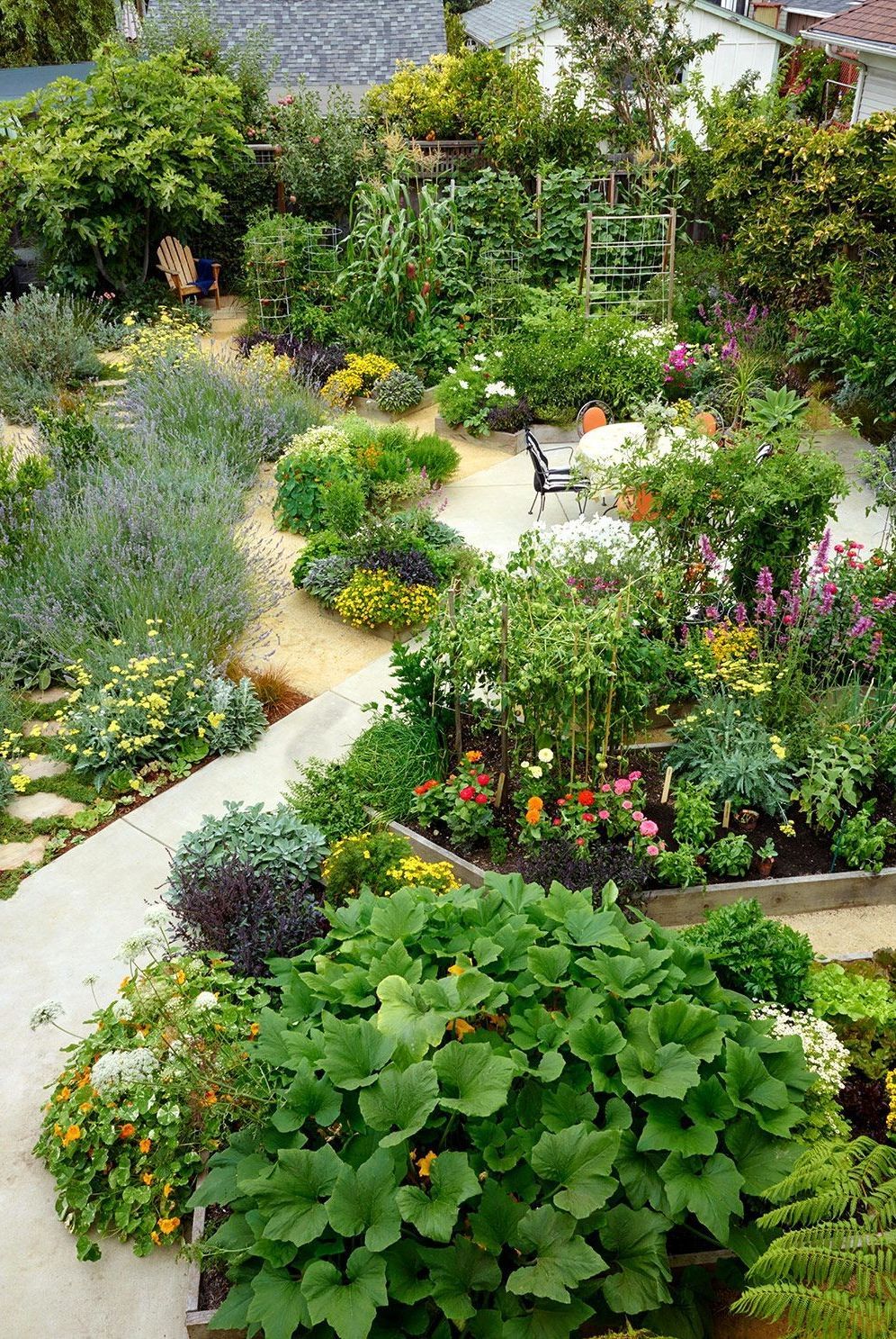 Characteristics of the edible
landscaping