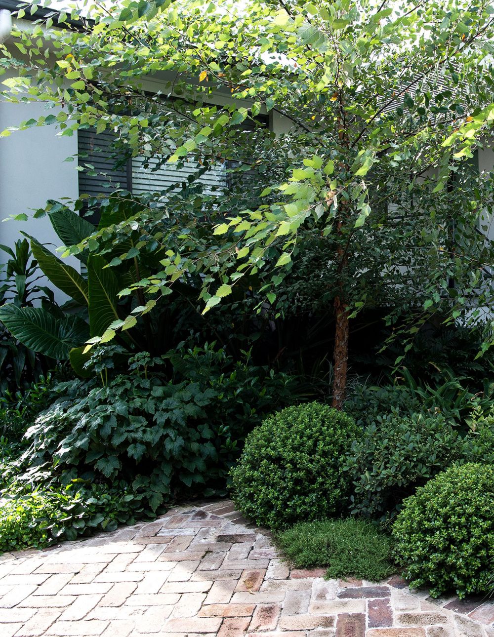 Reasons you should have a good front garden design