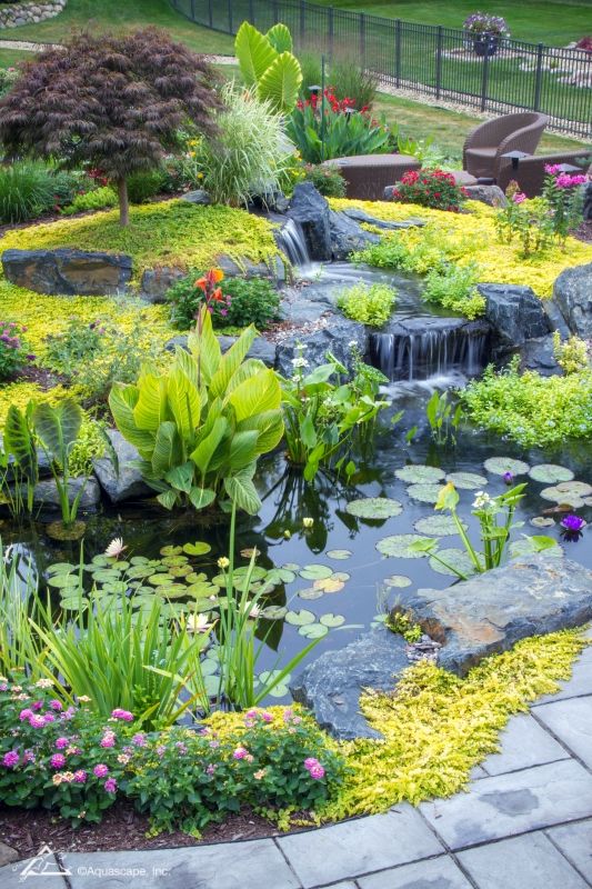 1699737380_garden-ponds.jpg