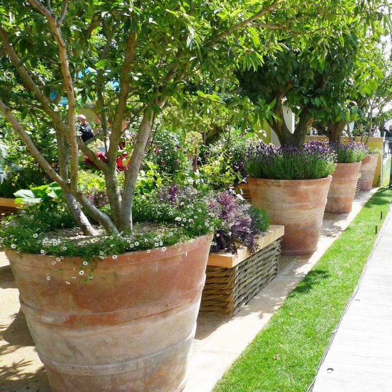 Different types of large
garden pots