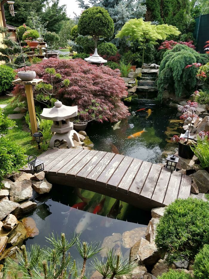 Great pond design ideas for
your garden