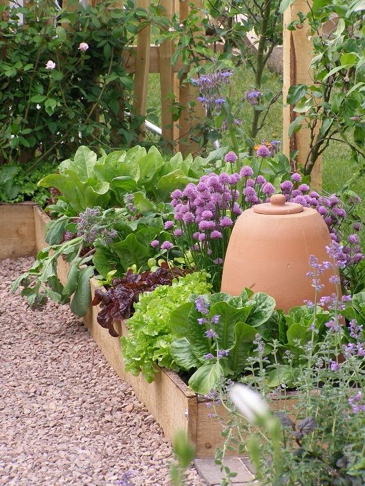 1699739732_Raised-bed-Gardens.jpg