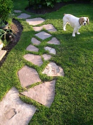 An Overview of Stepping stones