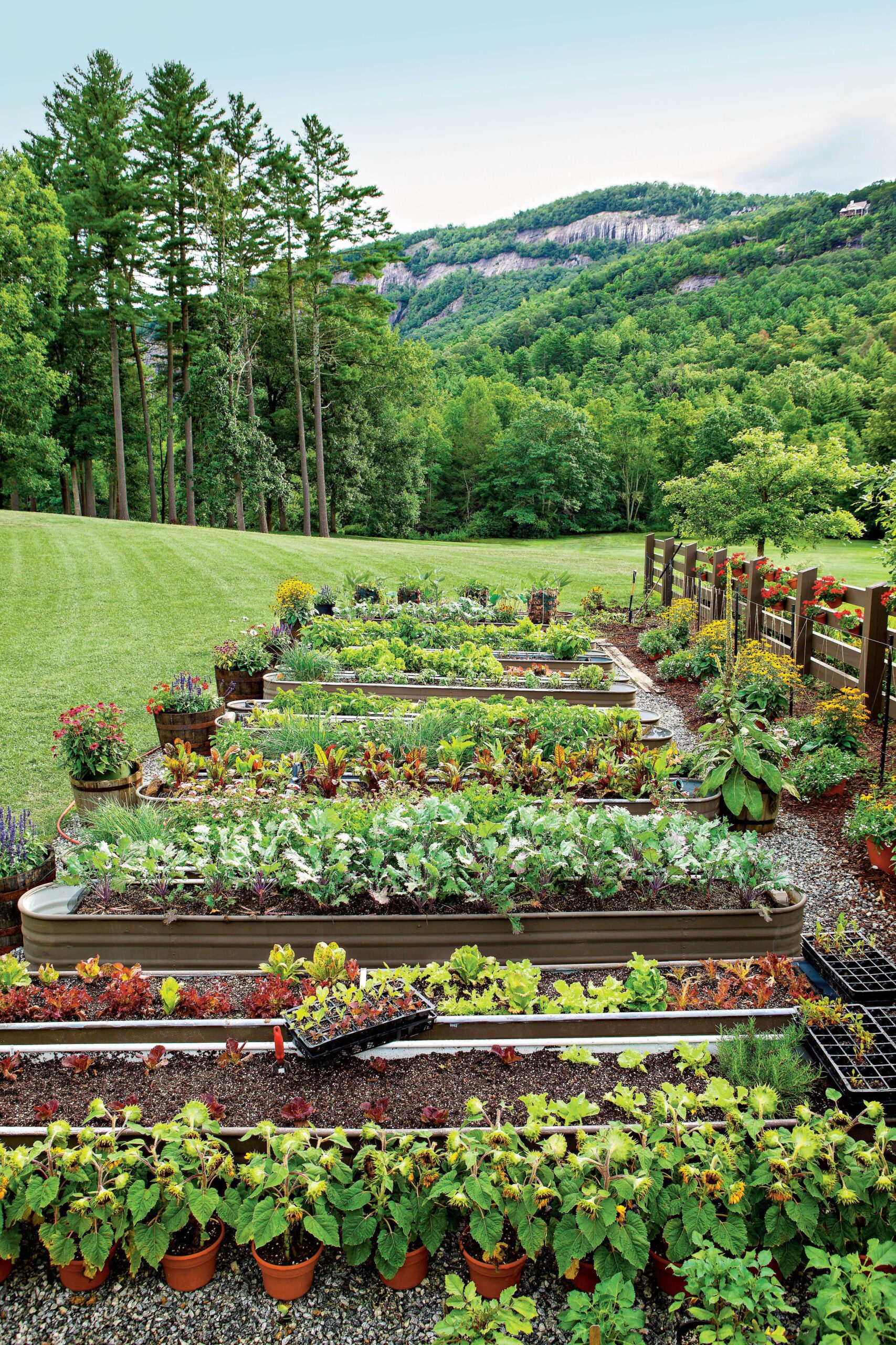 Planning Your Own Vegetable
Garden Design