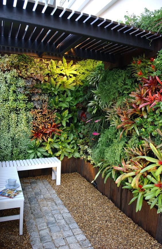 How to Grow Vegetables in
Vertical Garden