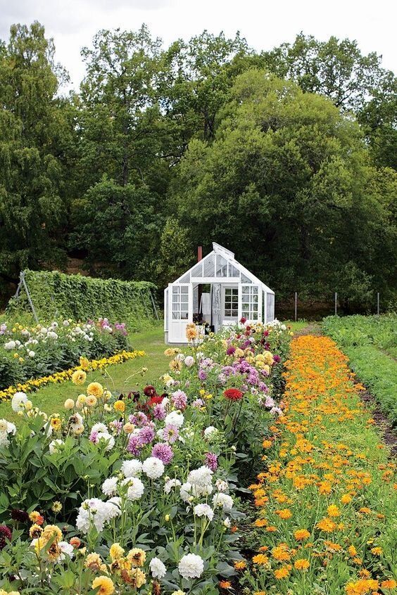 Setup a Backyard Garden