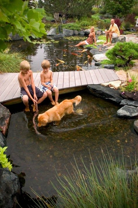 Tranquil Escapes: Creating Serenity with
Backyard Ponds