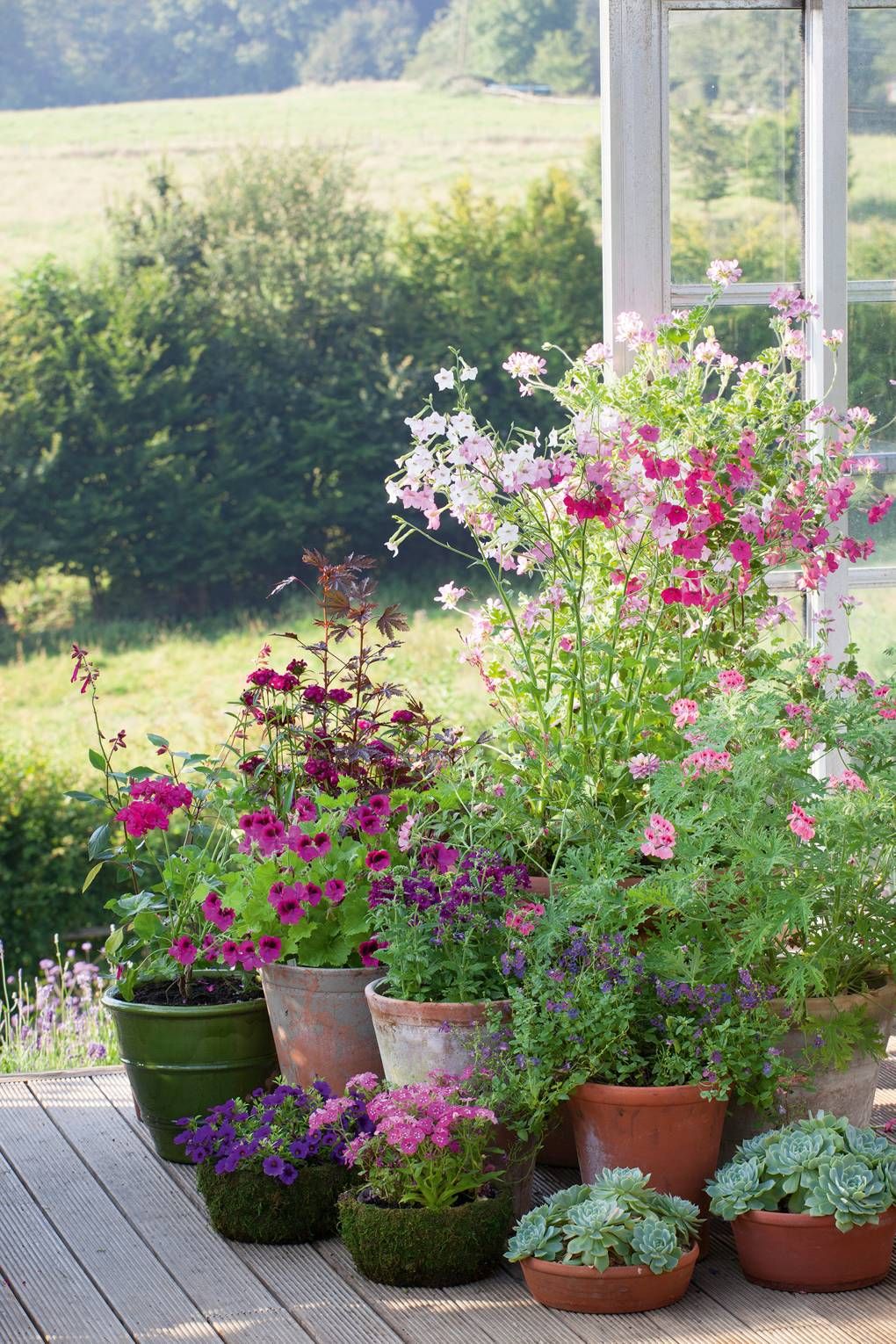 How can you benefit from
container gardening Ideas ?