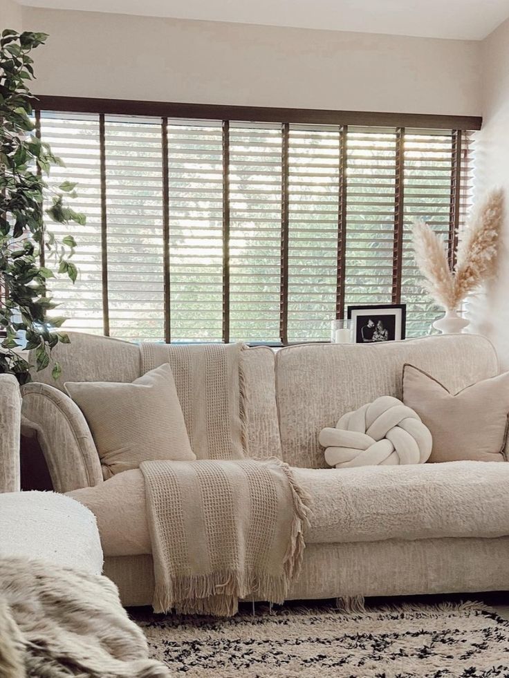 Timeless Appeal: Elevating Windows with
Faux Blinds