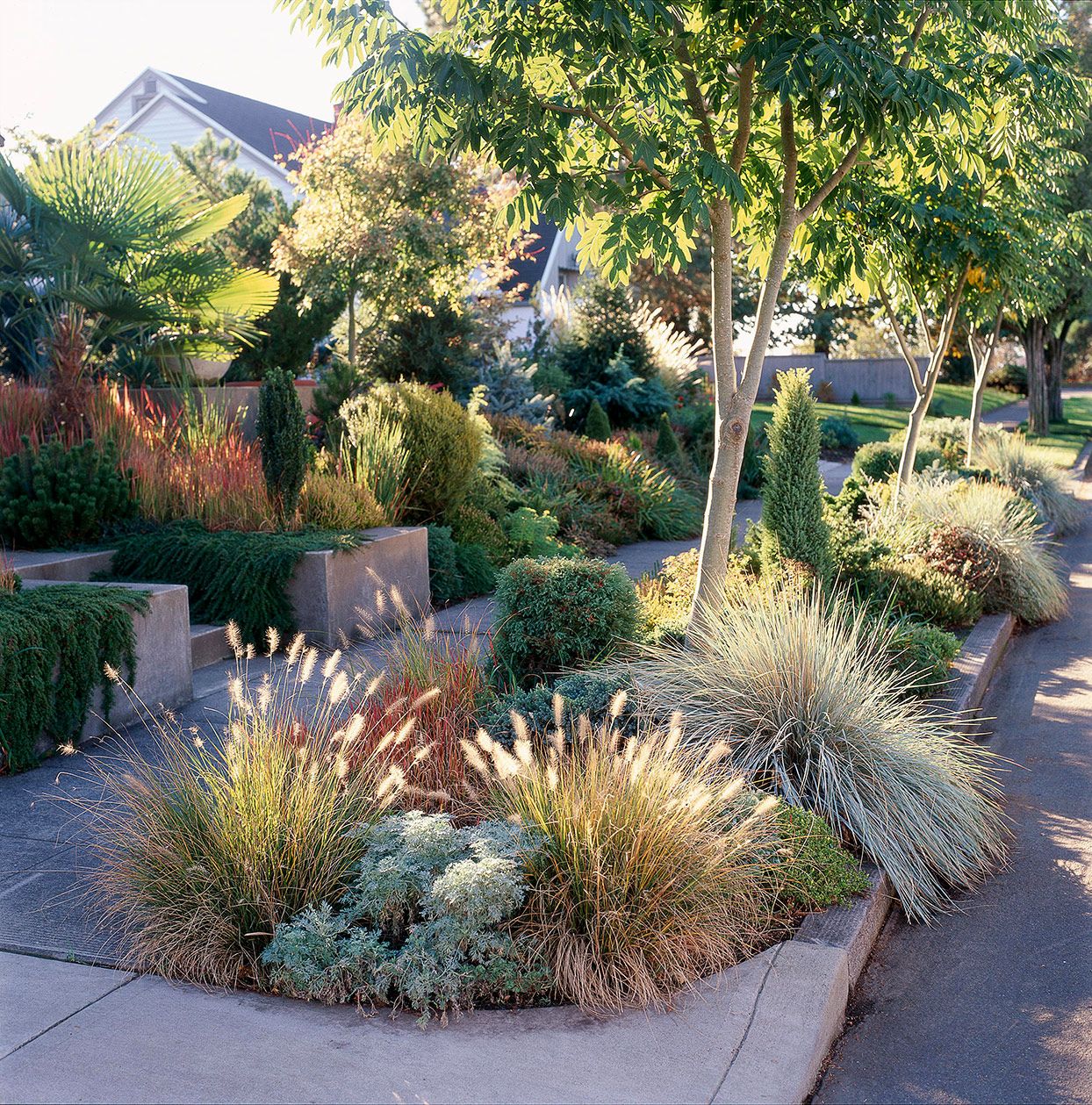 How To Design Front Yard Landscape Ideas