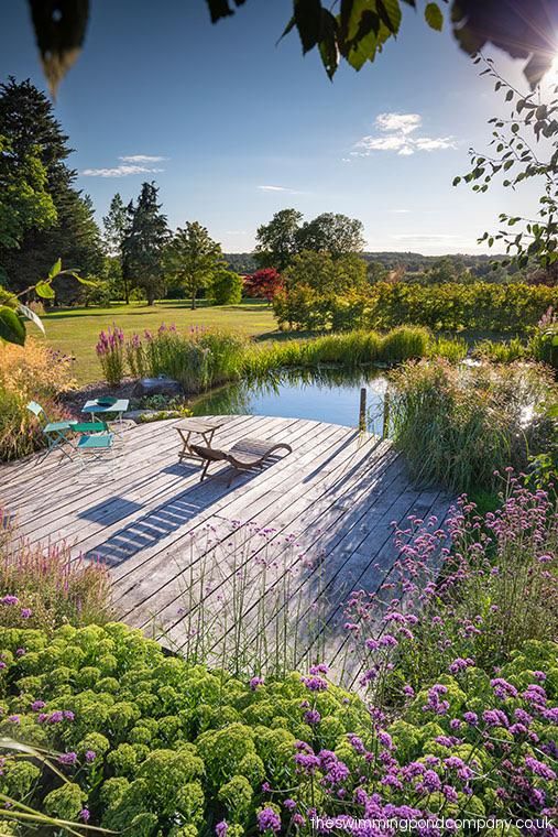 Process of adorning your
living environment with garden ponds