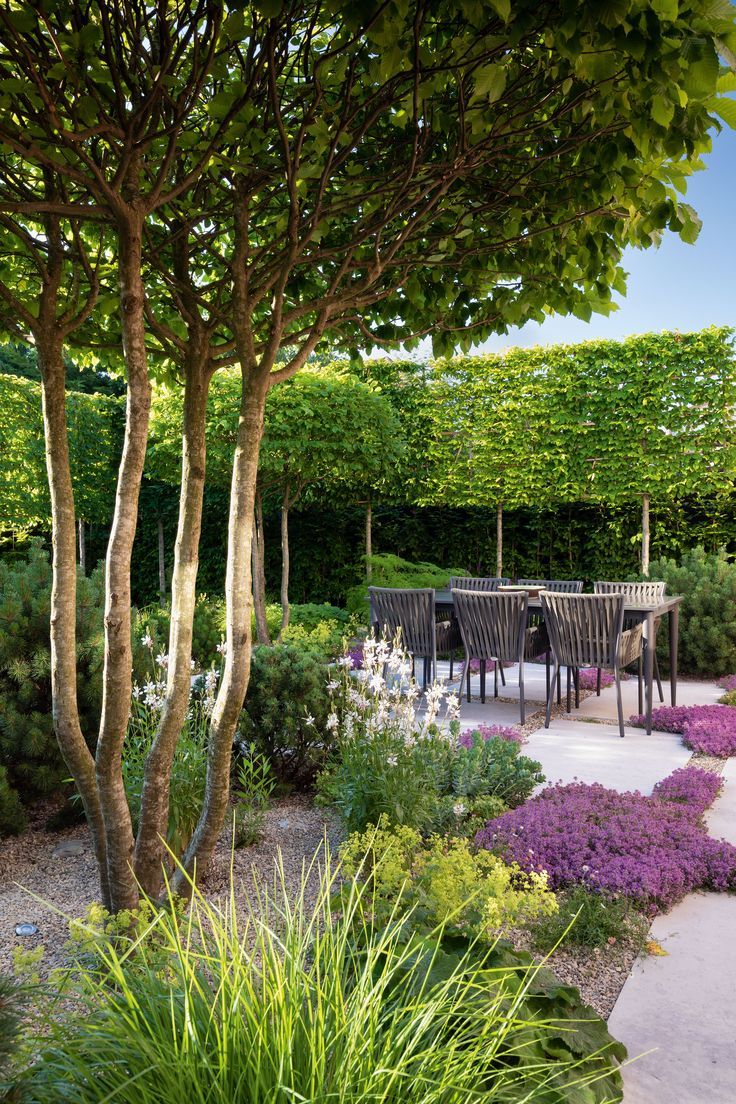 Benefits Of Having A Modern
Garden