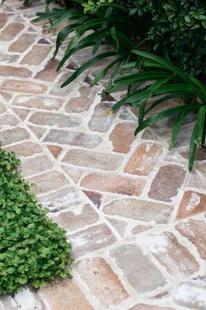 Importance of maintaining
outdoor pavers