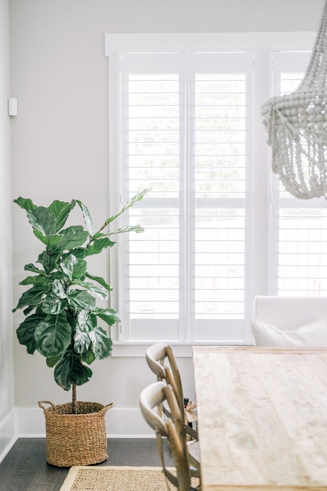 Treat your windows to a fancy
with Plantation Shutter to fit