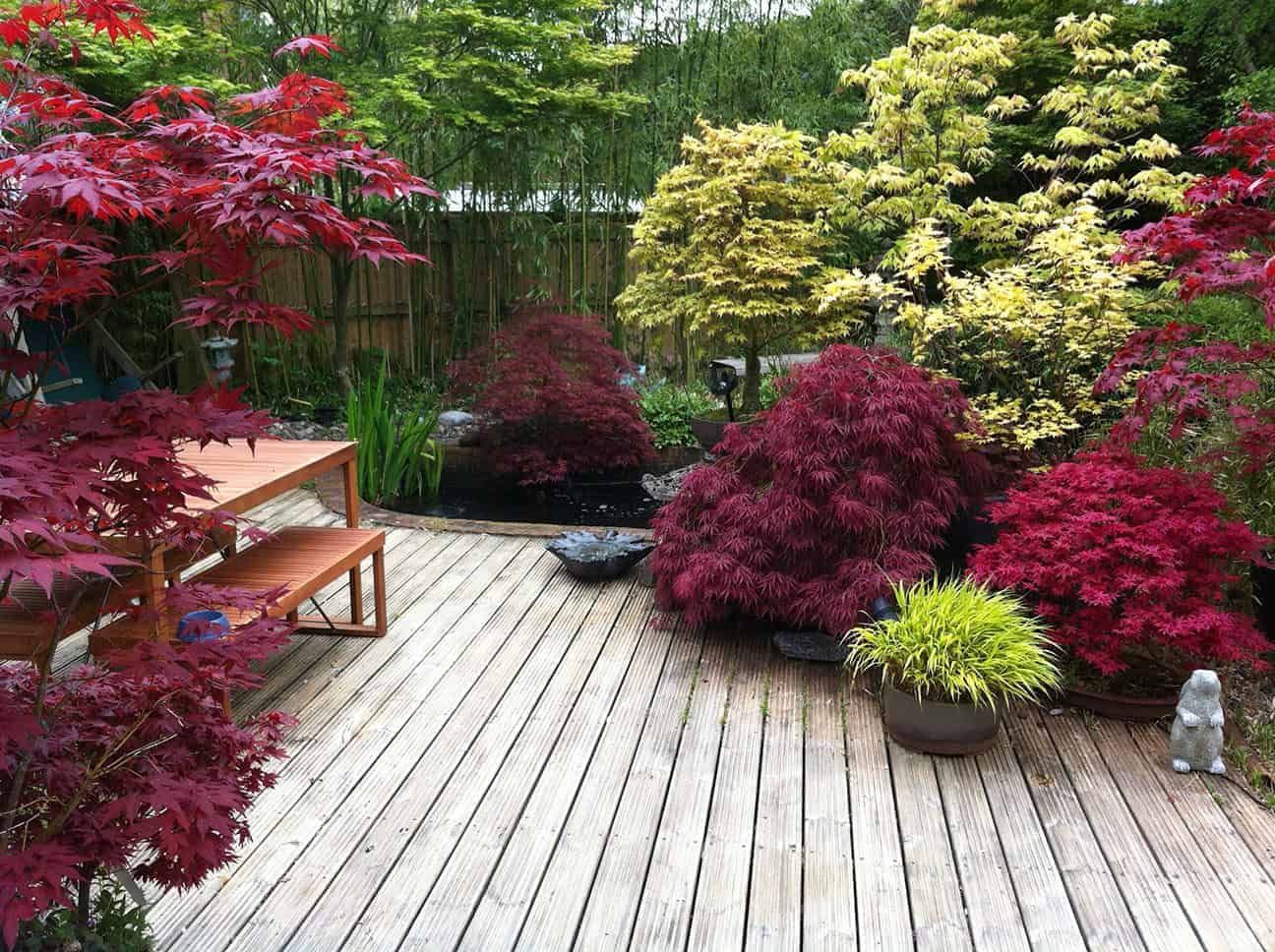 Small garden design tips of
new gardeners