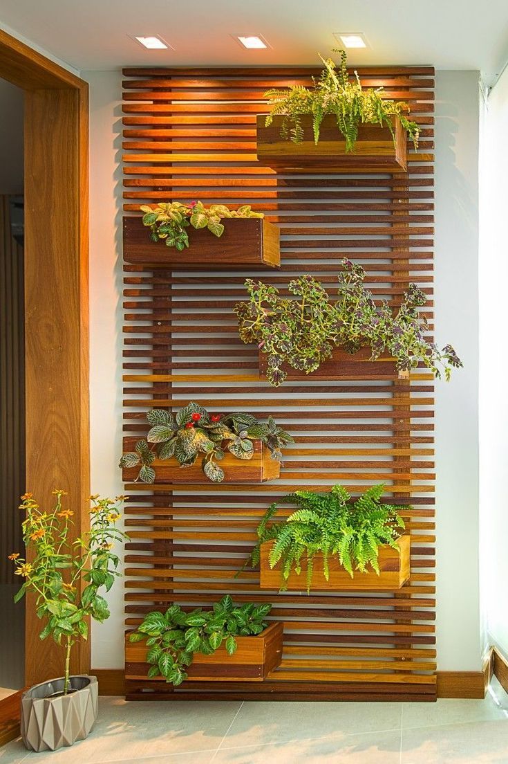 Why you must go for vertical
garden