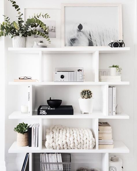 Keeping Your Reading
Environment Bright with a White Bookshelf