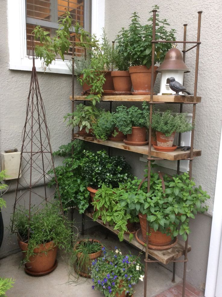 Get to Know Some Balcony Garden Ideas you can make for your Garden