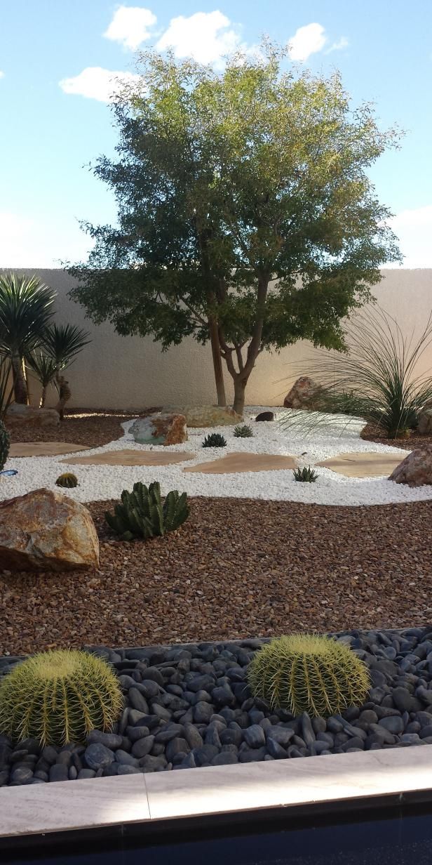 The requirements necessary for
drought resistant landscaping