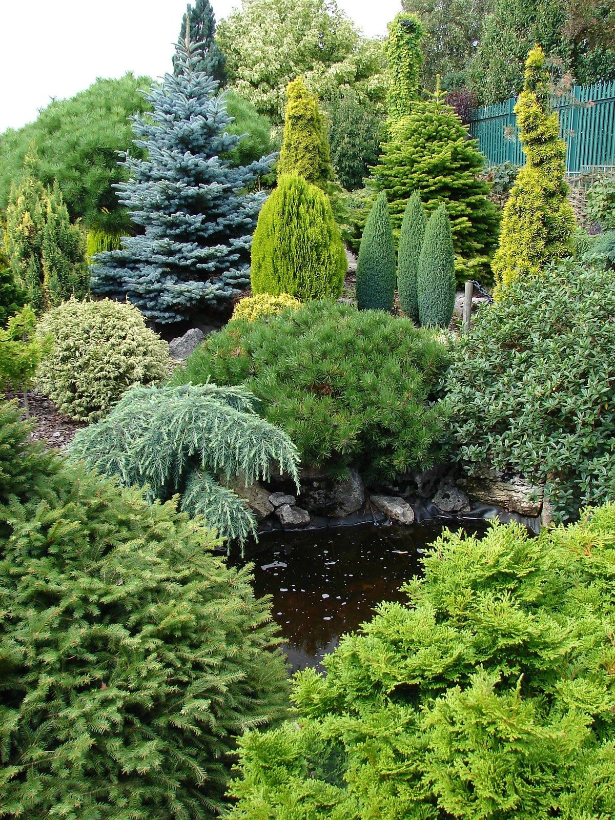 Reasons you should make the
evergreen landscape your best choice