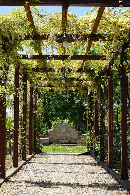 An Overview of Garden Canopy