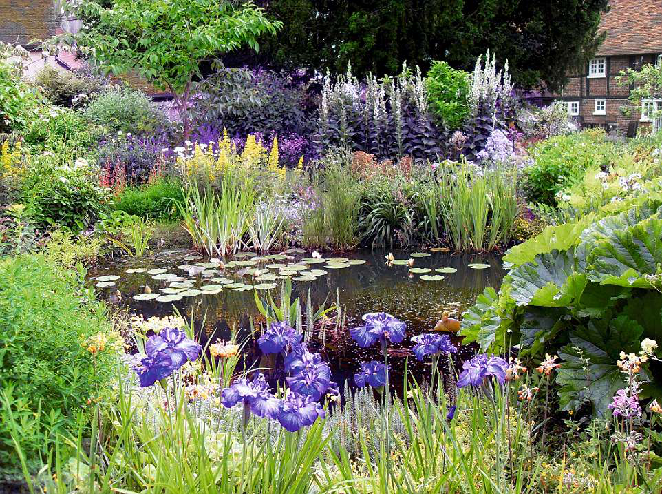 1699751184_garden-ponds.png