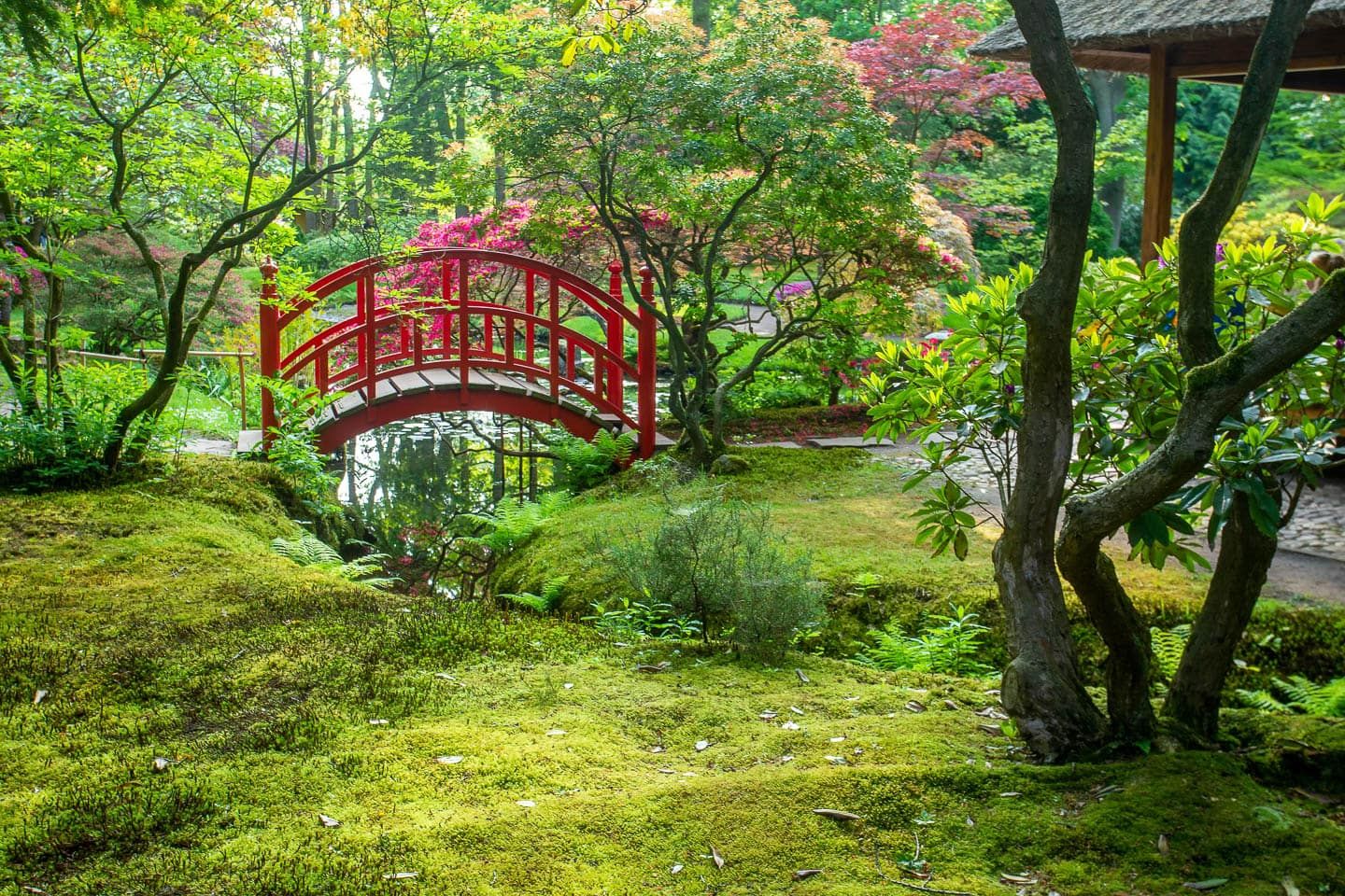 New Ideas Of How To Make A
Japanese Garden At Home