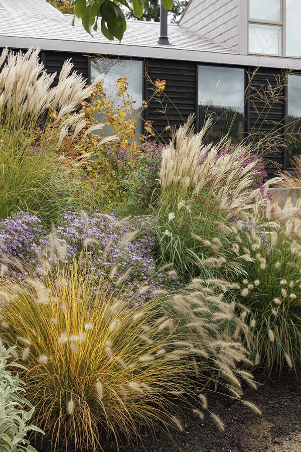 Decorate The Exterior Of Your
Home With Landscaping Ideas