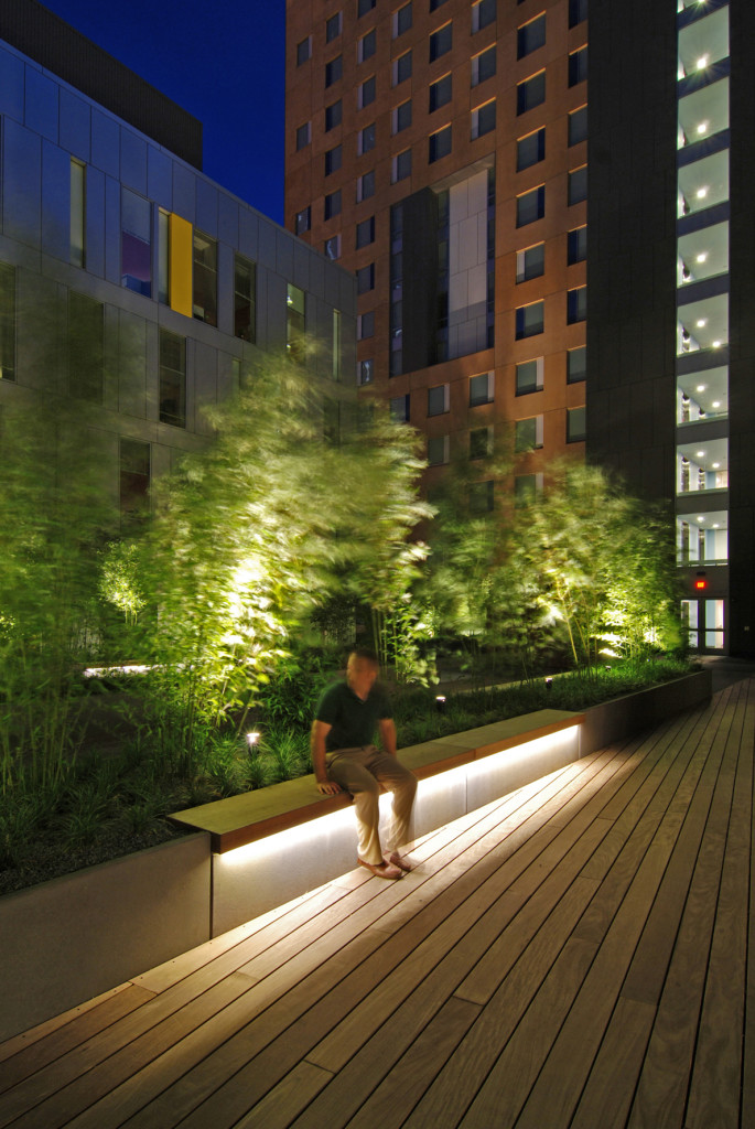 Outdoor Landscape Lighting
give a New look to your Home