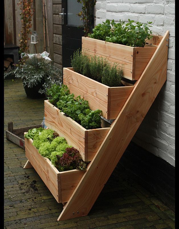 Elevated Gardening: Maximizing Space with
Raised Bed Gardens