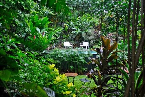 Tropical Landscaping For Exotic Retreat