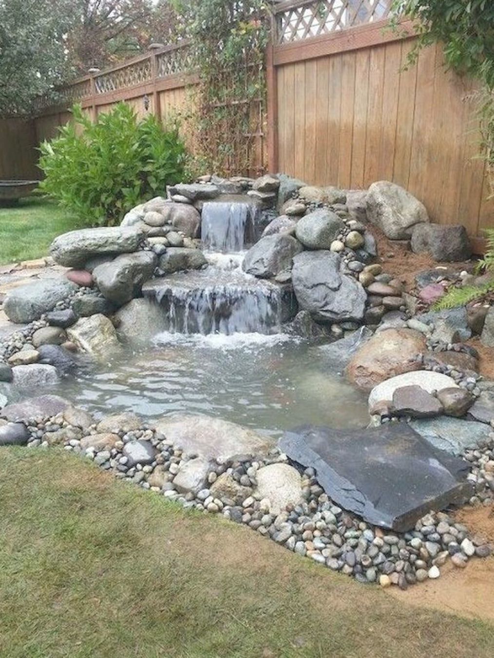 The importance of backyard
ponds