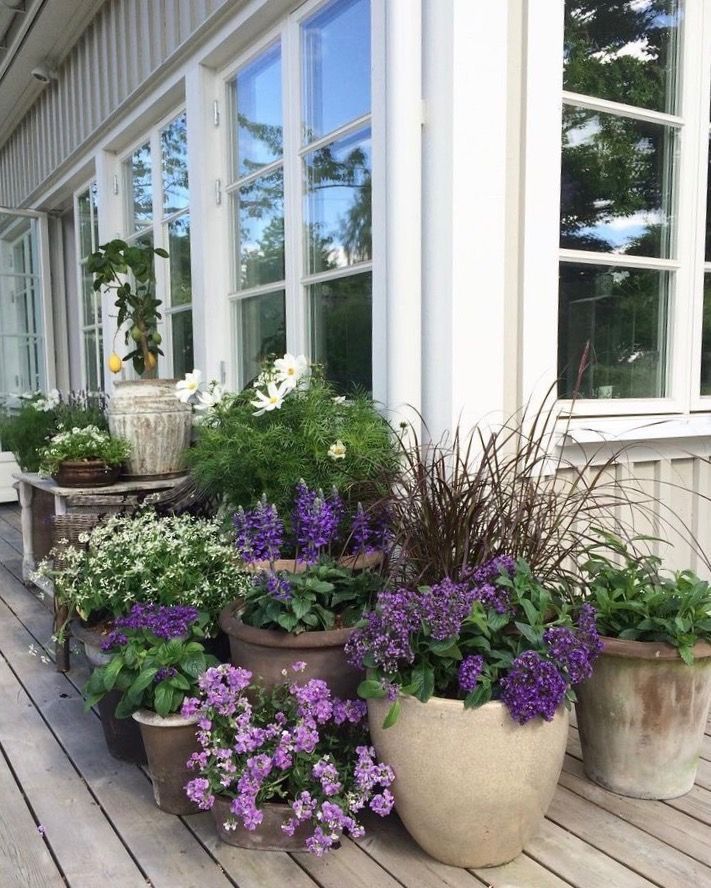 How can you benefit from
container gardening Ideas ?