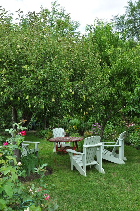 Buying guide for Garden Chairs