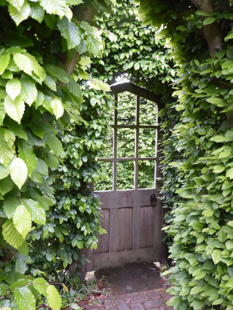 1699758525_Garden-Gates.jpg