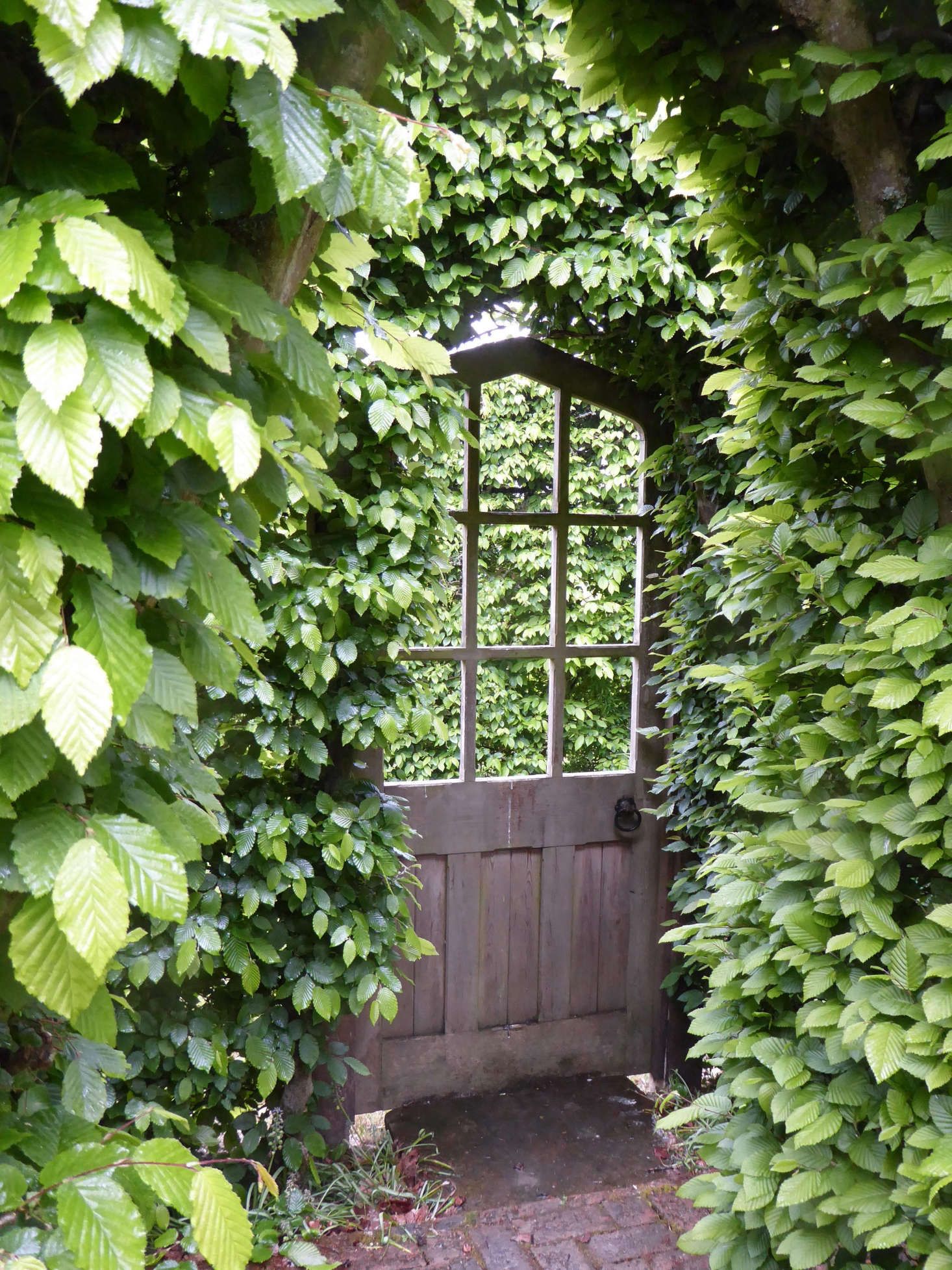 Garden Gates and the Benefits
They Serve