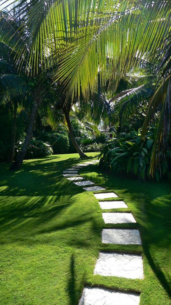 Get Cool Fresh Vegetables and
Air with Garden Landscape