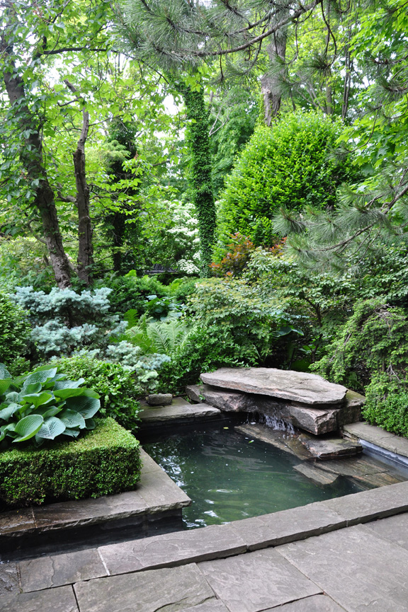 Process of adorning your
living environment with garden ponds