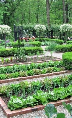 Home garden ideas to make a
Great Looking Garden