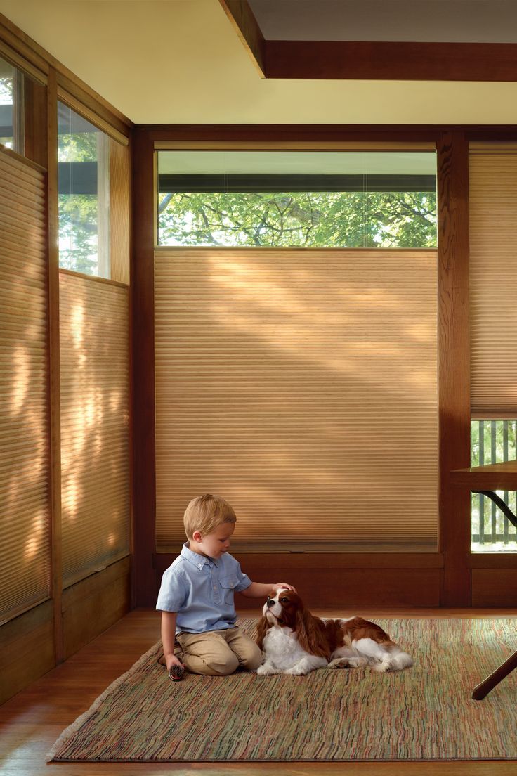 The suitability of honeycomb
shades