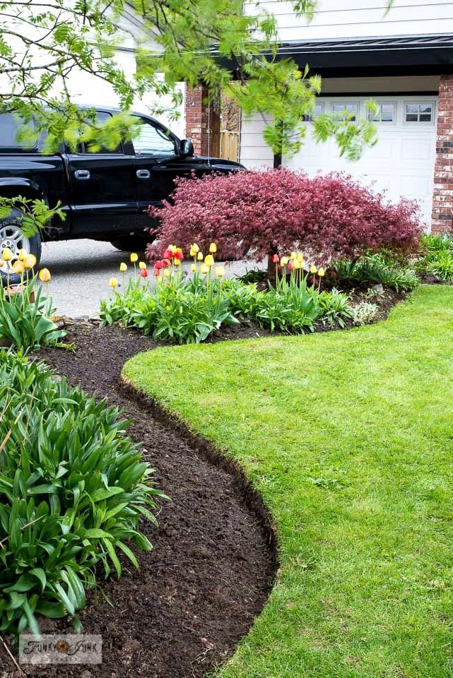 The Landscape Edging Ideas You
can explore for Your Design