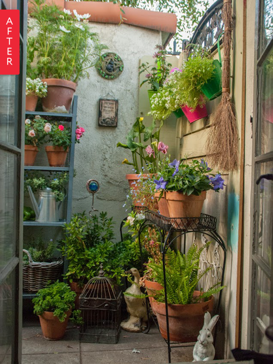 How to make a Perfect Patio
Garden