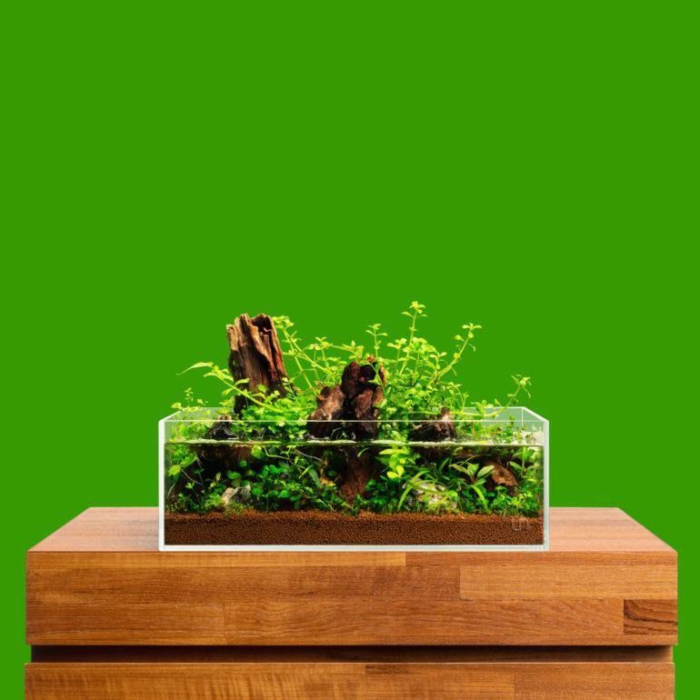 Rimless Aquarium – Buying Guide