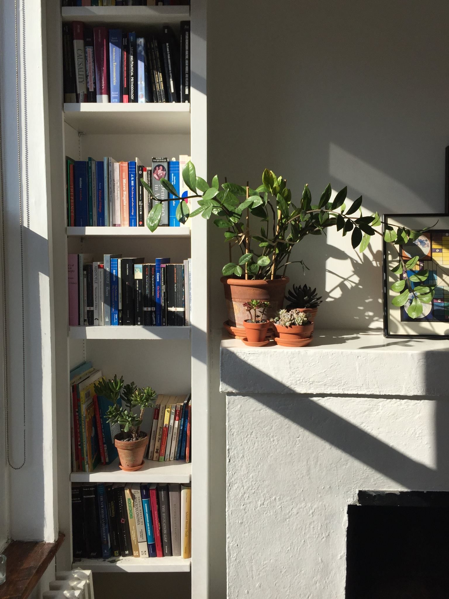 Advantages of a small
bookshelf