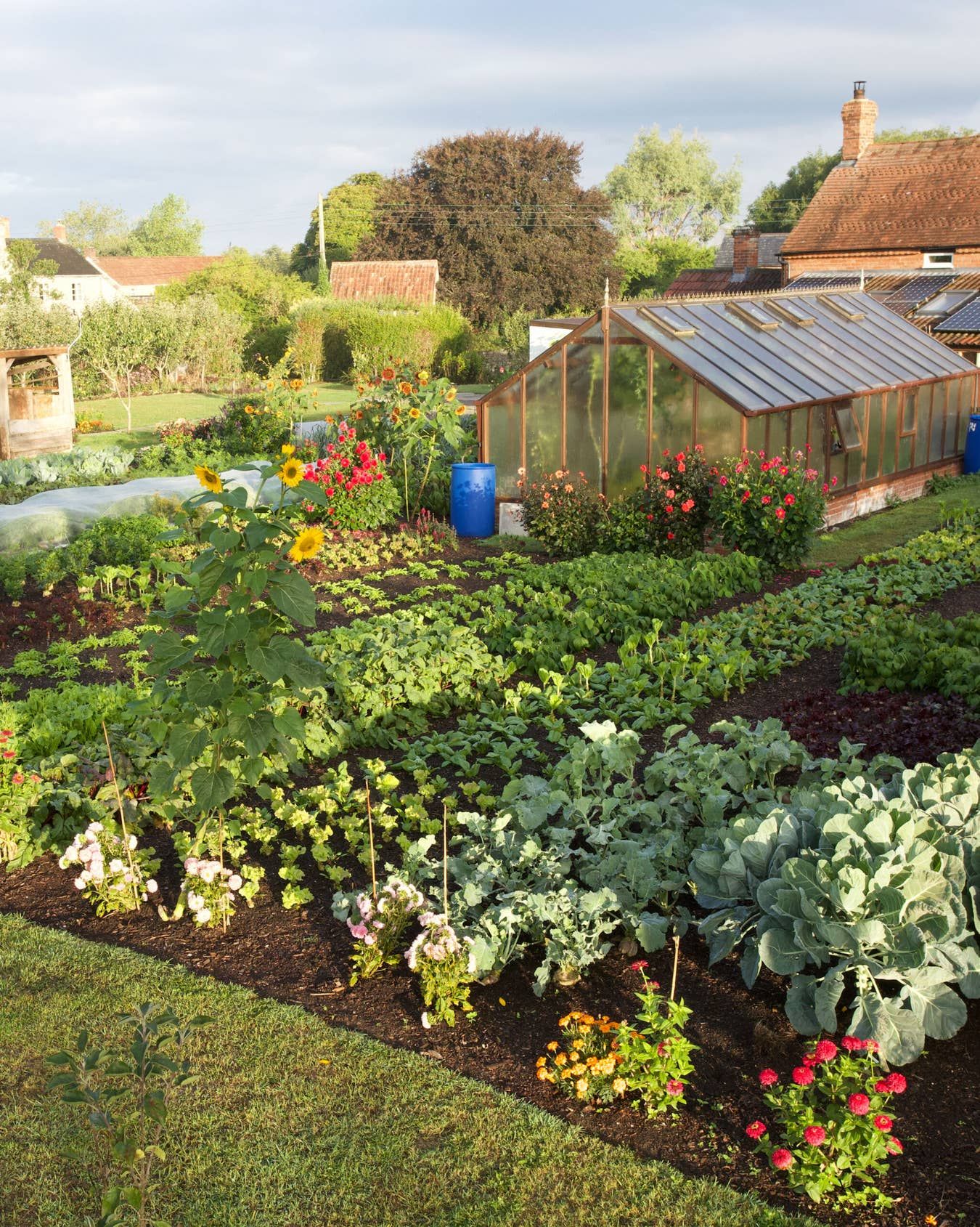 Planning Your Own Vegetable
Garden Design