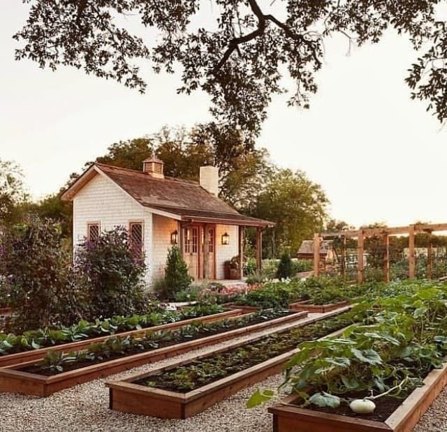 Setup a Backyard Garden