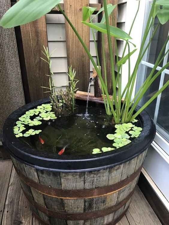 Tranquil Waters: Enhancing Your Backyard
with Pond Decor